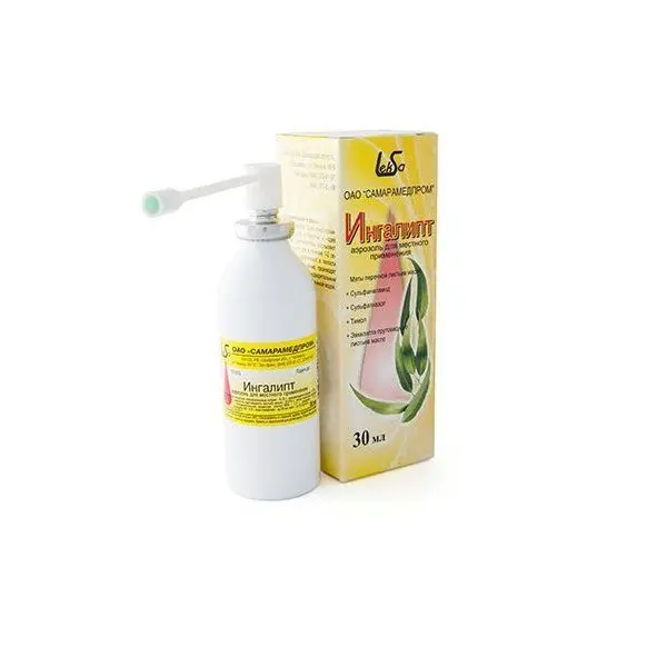 Ингалипт аэр. 30мл ..