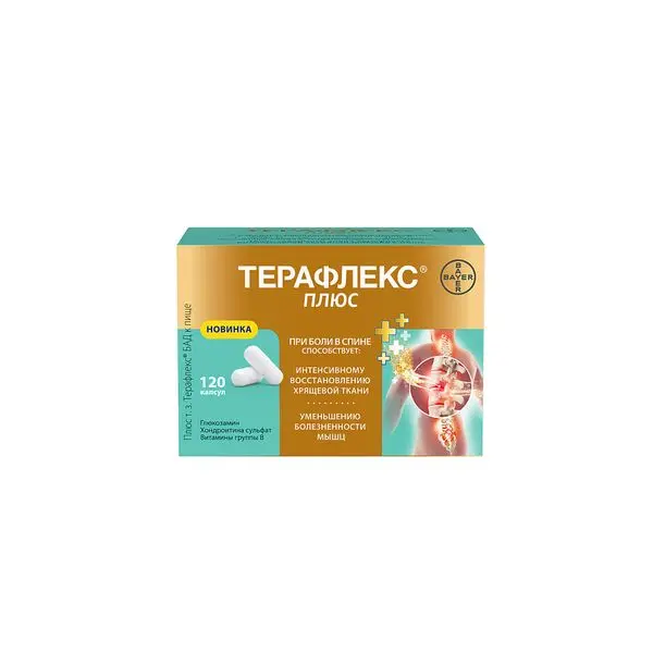 Терафлекс Плюс №120 капс.